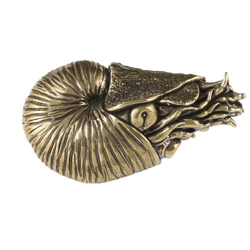 Nautilus skulptur detailreich - nautilus-skulptur,